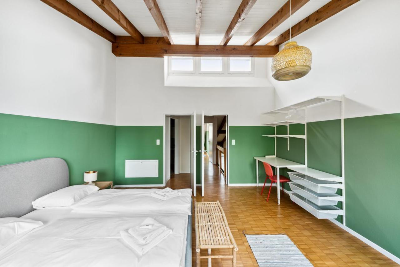 Cozy Apartments Close To The Center Of Zurich Forch Exterior foto