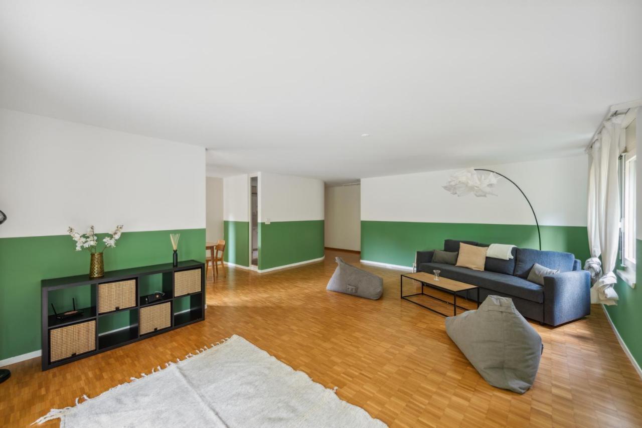 Cozy Apartments Close To The Center Of Zurich Forch Exterior foto